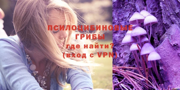 apvp Алзамай