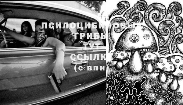 дмт Абинск