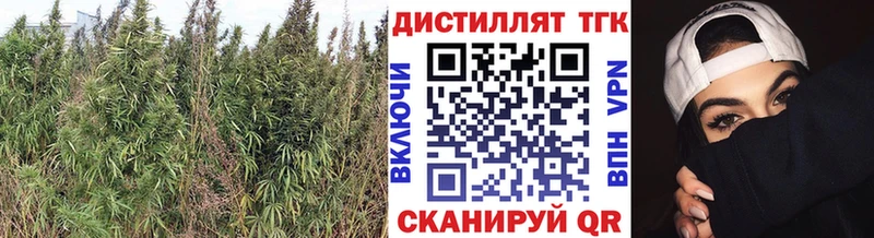ТГК концентрат  Агидель 